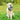 Happy pet voerbak rvs