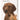 Beaphar vlooienshampoo hond / kat