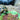 Happy pet voerbak green leaf groen