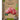 Bf petfood organic hond 100% rund blik