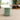 Savic kattenbak hop in botanical groen