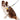 Morso norwegian hondentuig gerecycled color invaders paars